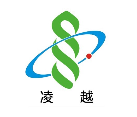 重慶凌越工業設備有限公司